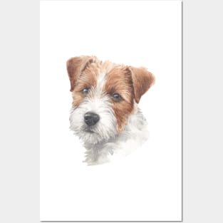 Cute Rough Coated Jack Russell Terrier Watercolor Art Posters and Art